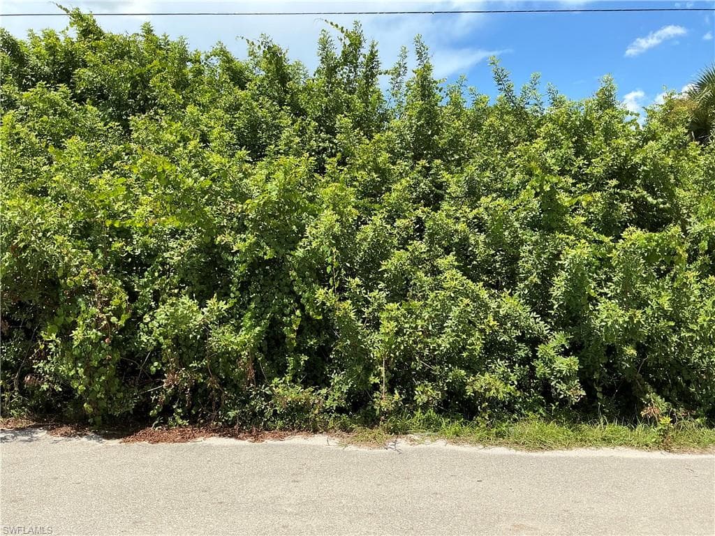 3116 36th ST SW LEHIGH ACRES, FL 33976