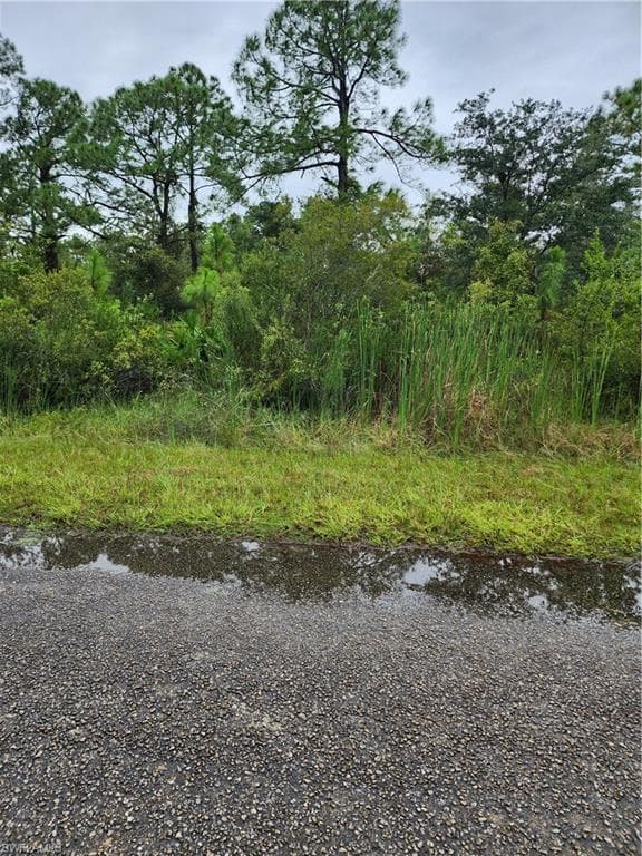 1951 Roderick LN LEHIGH ACRES, FL 33972