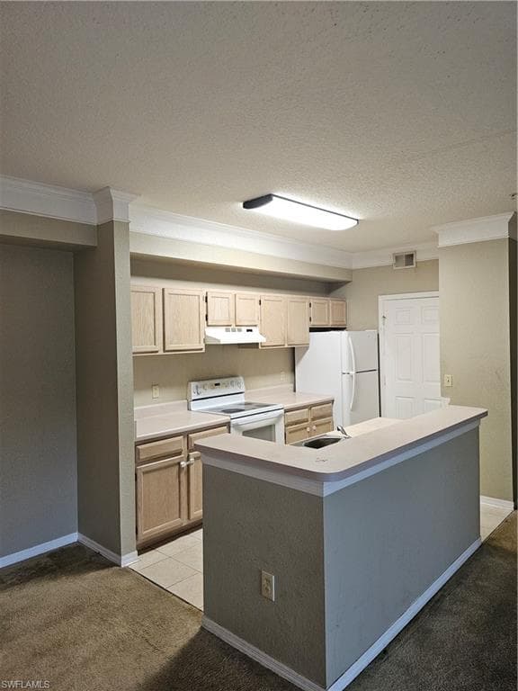 11510 Villa Grande 409 FORT MYERS, FL 33913
