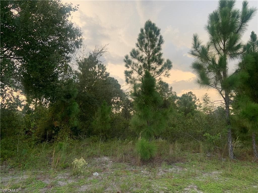 3408 Gene AVE N LEHIGH ACRES, FL 33971