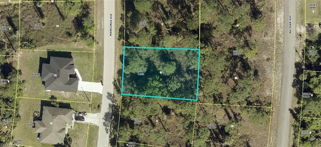 313 Mangonia AVE LEHIGH ACRES, FL 33974