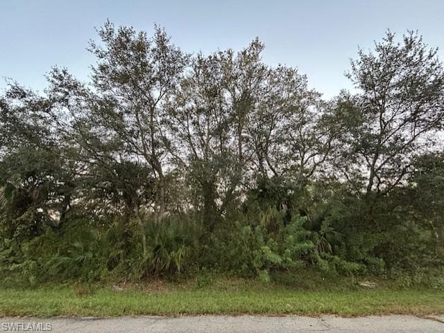 1909 Grant AVE LEHIGH ACRES, FL 33972