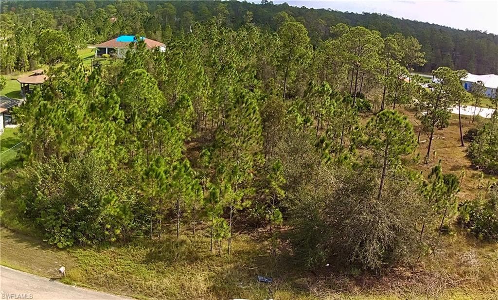 920 Hamilton AVE LEHIGH ACRES, FL 33972