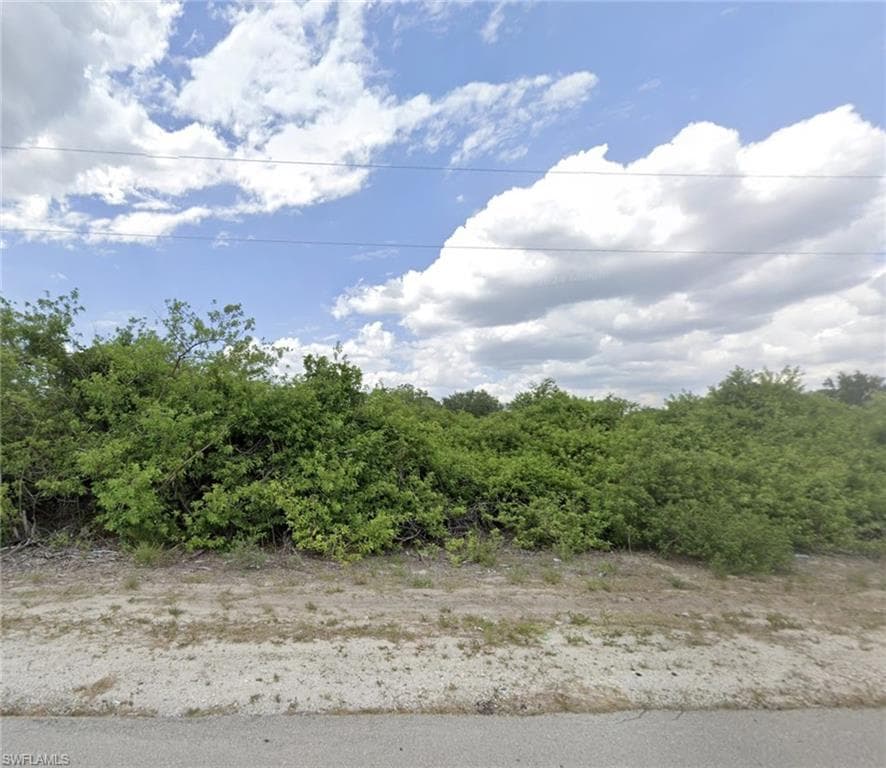 341 Paddock ST LEHIGH ACRES, FL 33974