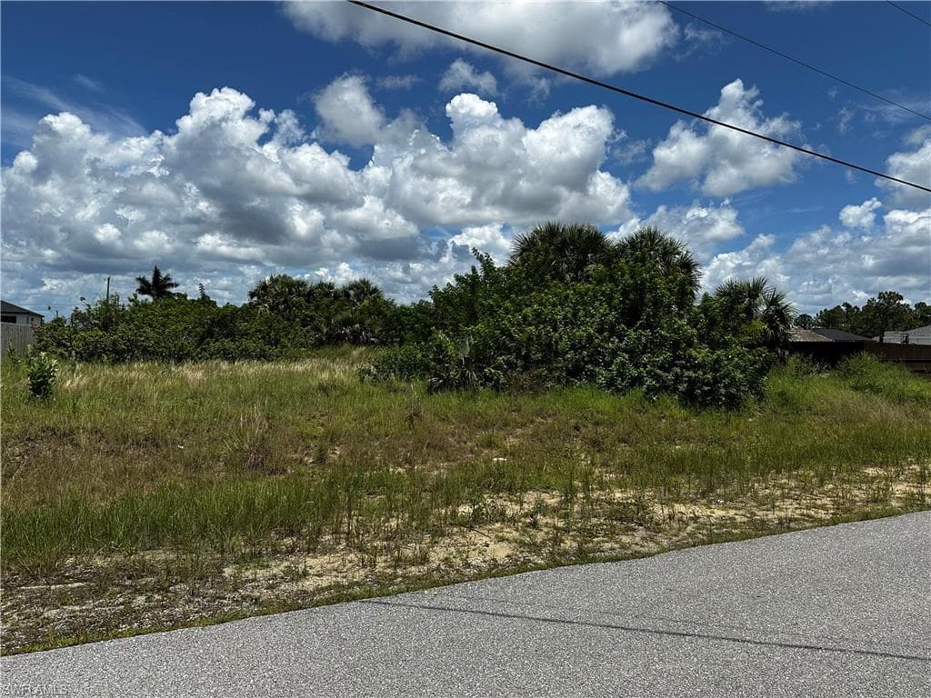 2204 Christopher AVE N LEHIGH ACRES, FL 33971