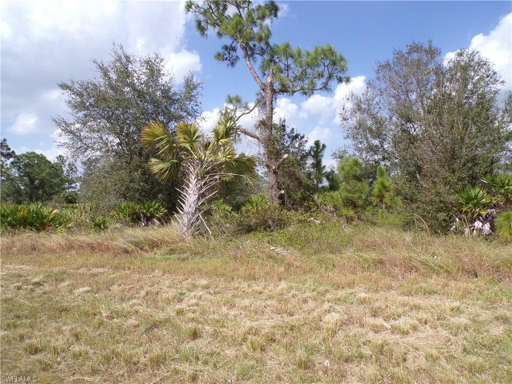 1163 Milwaukee BLVD LEHIGH ACRES, FL 33974