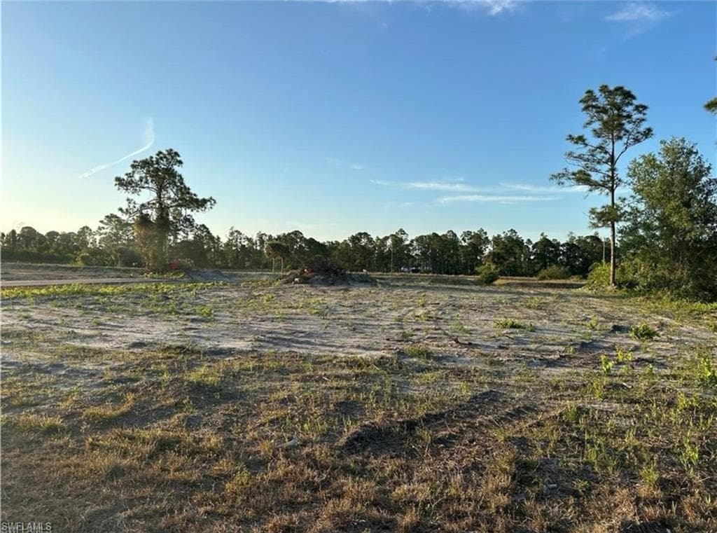 1103 Antonio ST E LEHIGH ACRES, FL 33974
