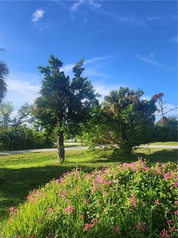 8305 McDaniel DR NORTH FORT MYERS, FL 33917