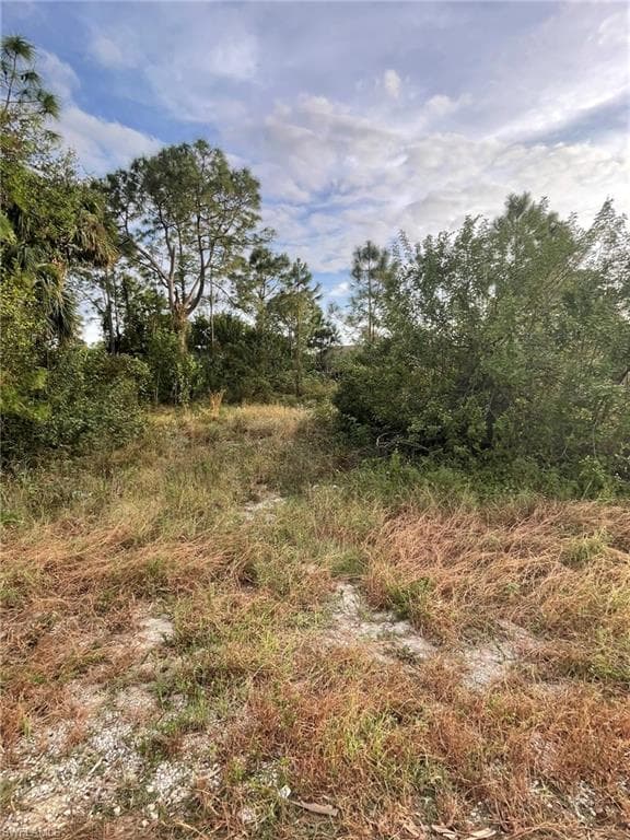 3717 33rd ST SW LEHIGH ACRES, FL 33976