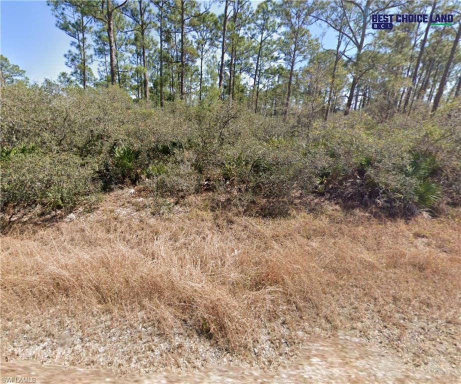 815 Hollywood ST LAKE PLACID, FL 33852