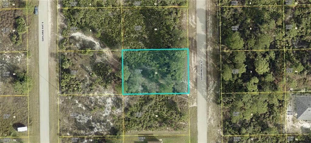 738 Chapman AVE S LEHIGH ACRES, FL 33974