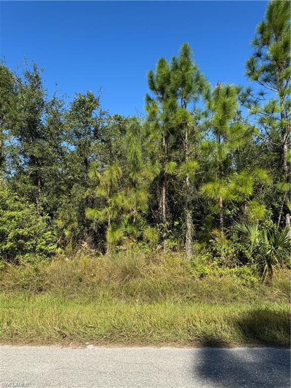 2501 9th ST LEHIGH ACRES, FL 33936
