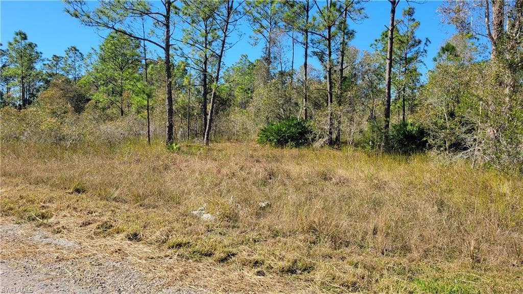 712 Gaylord AVE S LEHIGH ACRES, FL 33974