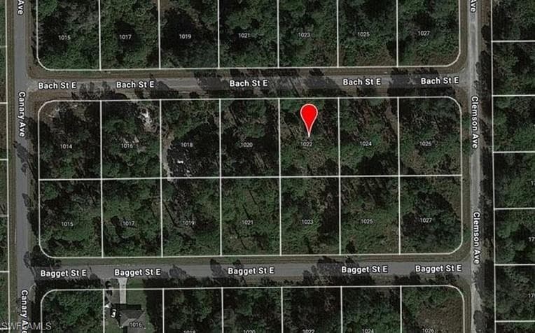 1022 Bach ST E LEHIGH ACRES, FL 33974