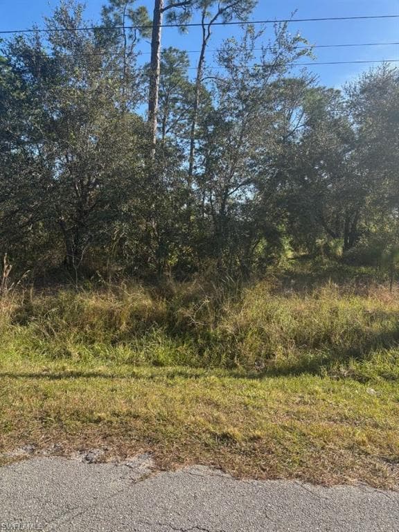 816 Clayton AVE LEHIGH ACRES, FL 33972