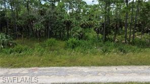 1925 Overland AVE LEHIGH ACRES, FL 33972