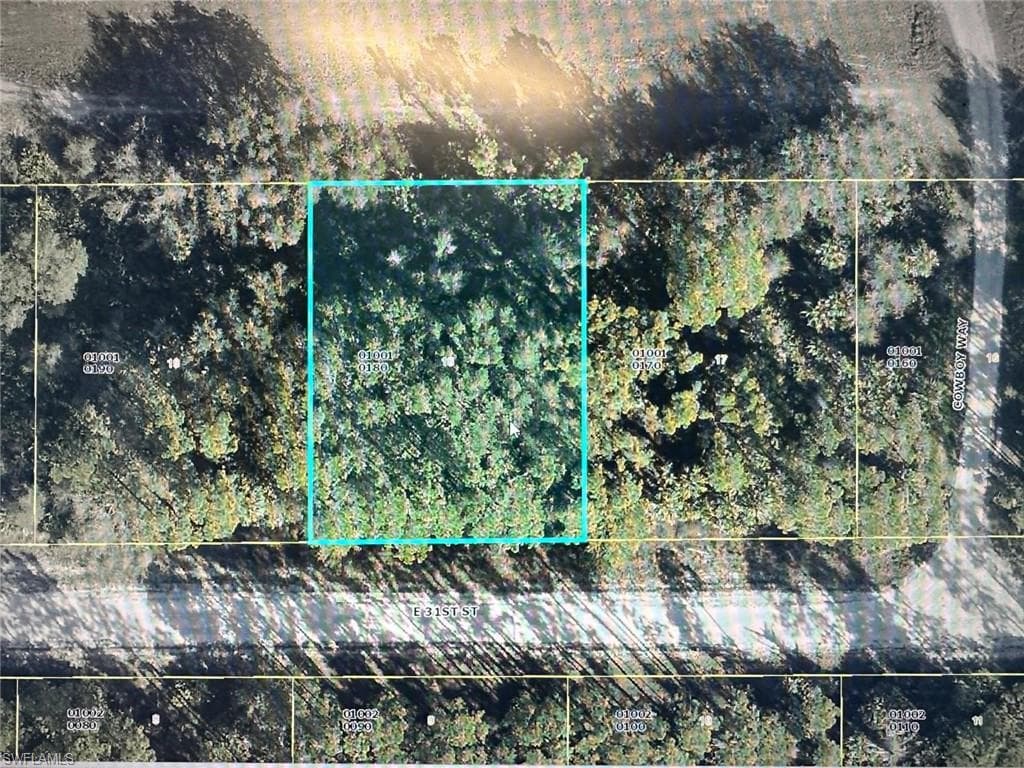 4215 31st ST ALVA, FL 33920