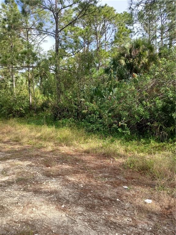 3302 Laura AVE N LEHIGH ACRES, FL 33971