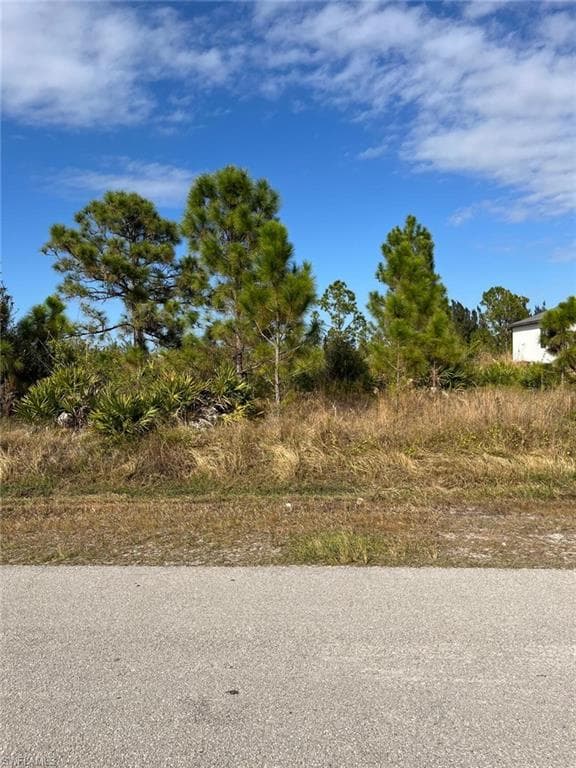 4113 58th AVE NE NAPLES, FL 34120