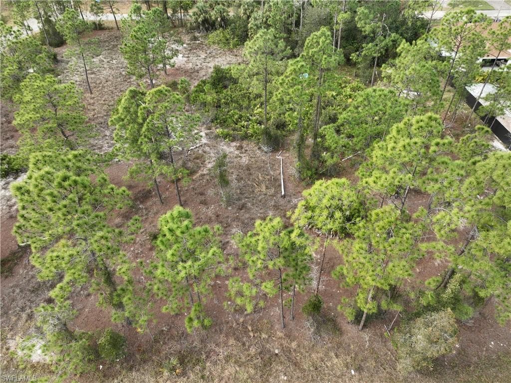 812 Chapman AVE S LEHIGH ACRES, FL 33974