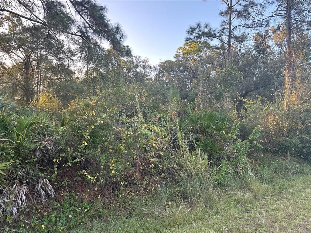 913 Edison AVE LEHIGH ACRES, FL 33972