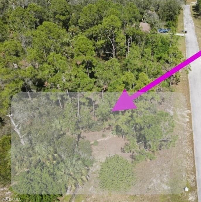 2113 Abbott AVE ALVA, FL 33920
