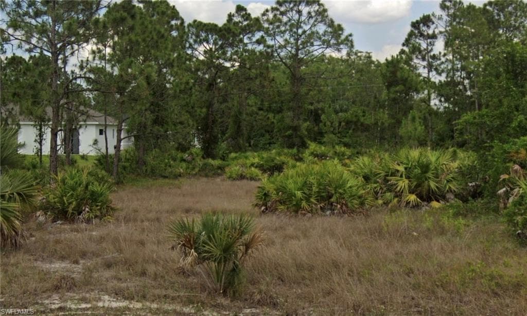 815 Homestead RD S LEHIGH ACRES, FL 33974