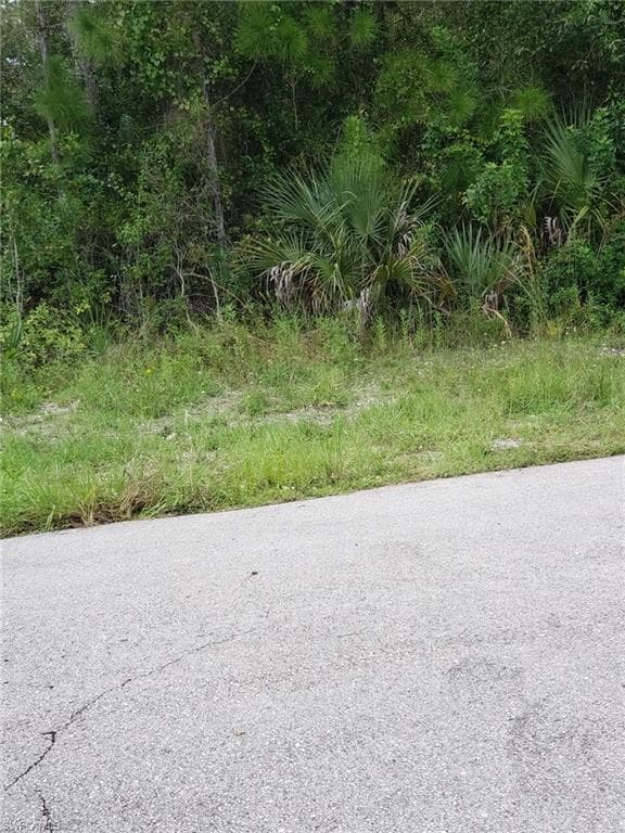 6003 terry AVE N LEHIGH ACRES, FL 33971