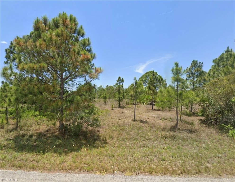 1008 Graystone AVE LEHIGH ACRES, FL 33974