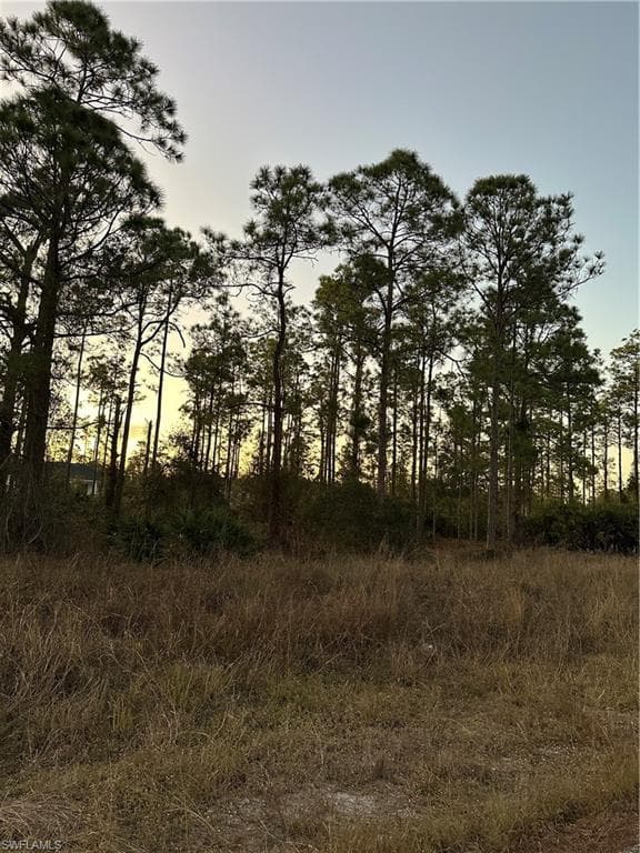 1217 Louis AVE LEHIGH ACRES, FL 33972