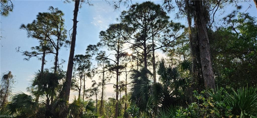 18th Ave AVE NE NAPLES, FL 34120