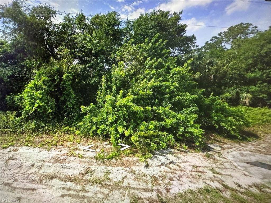 1244 Echard ST E LEHIGH ACRES, FL 33974
