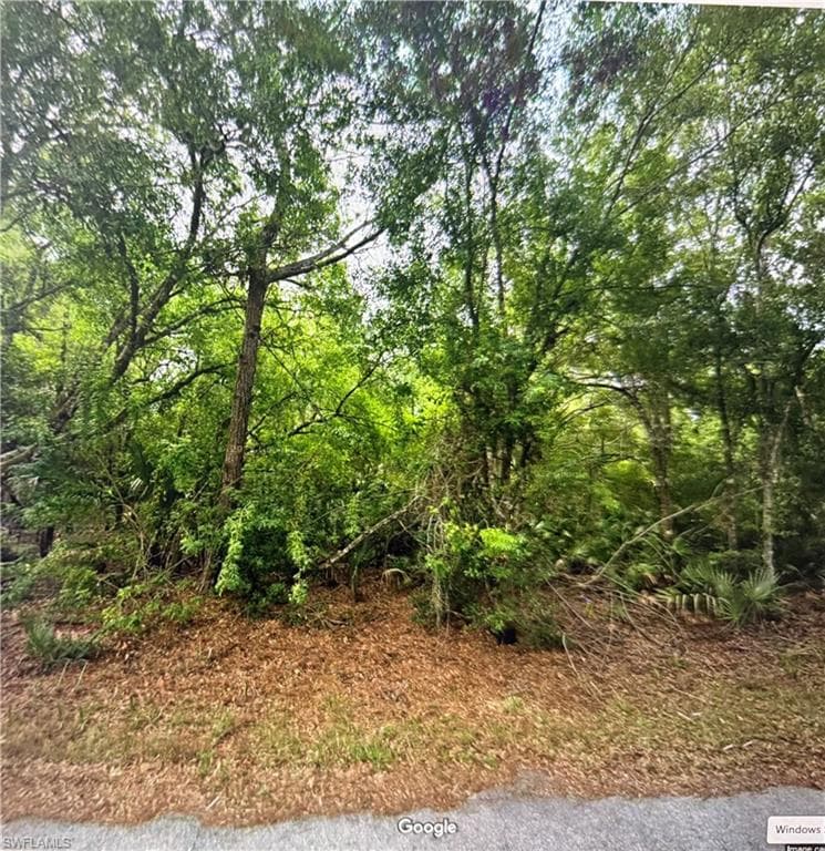 23423 Buckner AVE PUNTA GORDA, FL 33980