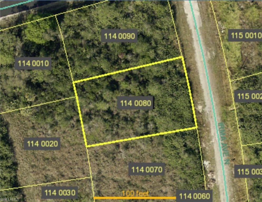 2607 Irma AVE N LEHIGH ACRES, FL 33971