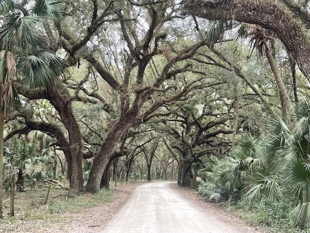 19780 Goin Outback DR ALVA, FL 33920