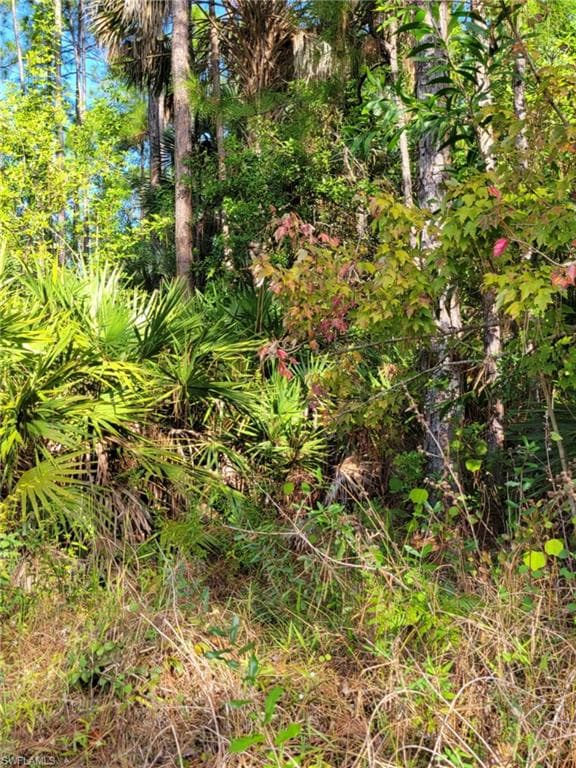 3415 41st AVE NE NAPLES, FL 34120