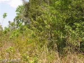 Wild Turkey DR NAPLES, FL 34120