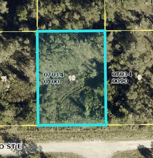 807 Alamo ST E LEHIGH ACRES, FL 33974