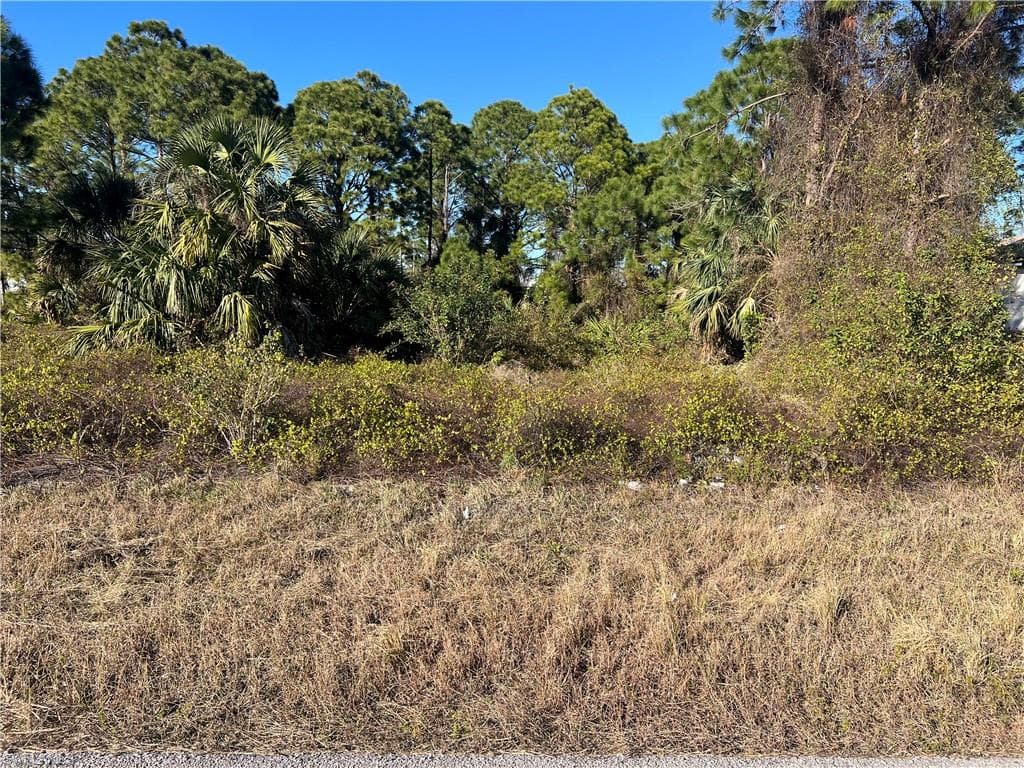 2910 19th ST SW LEHIGH ACRES, FL 33976