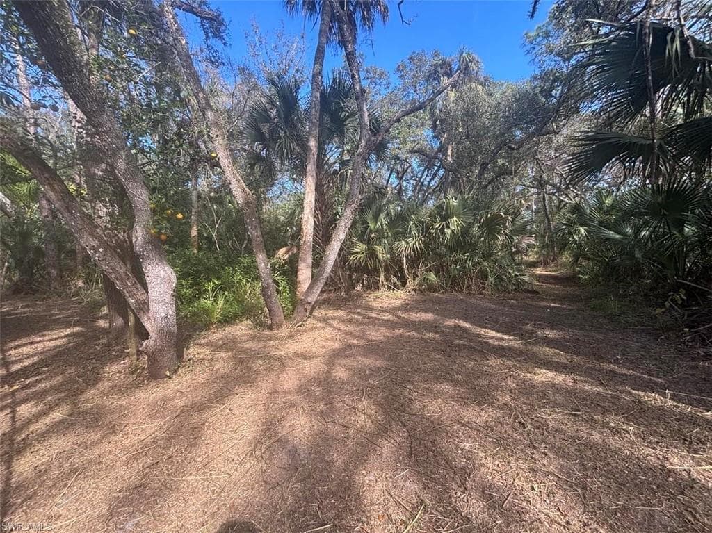21731 Park ST ALVA, FL 33920