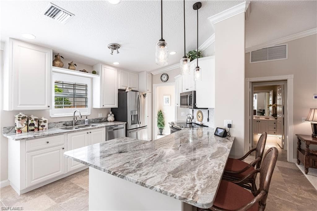 28831 Vermillion LN BONITA SPRINGS, FL 34135