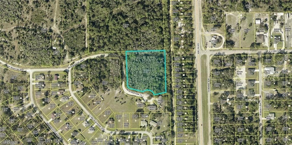 2201 Wyandotte AVE ALVA, FL 33920