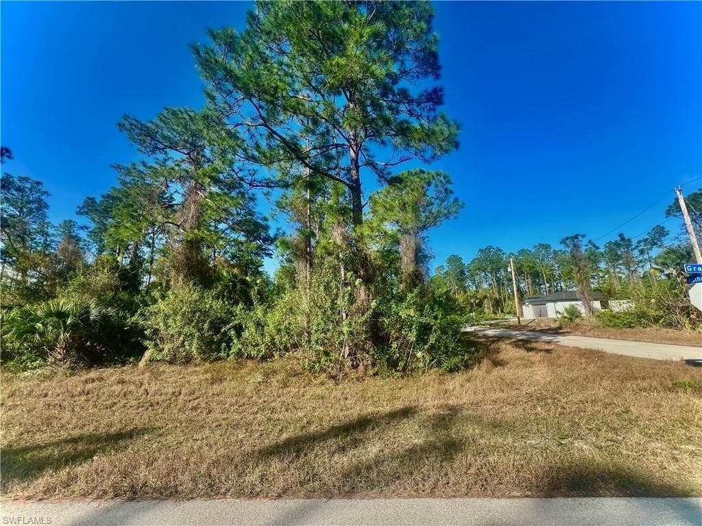 1060 Asther ST E LEHIGH ACRES, FL 33974