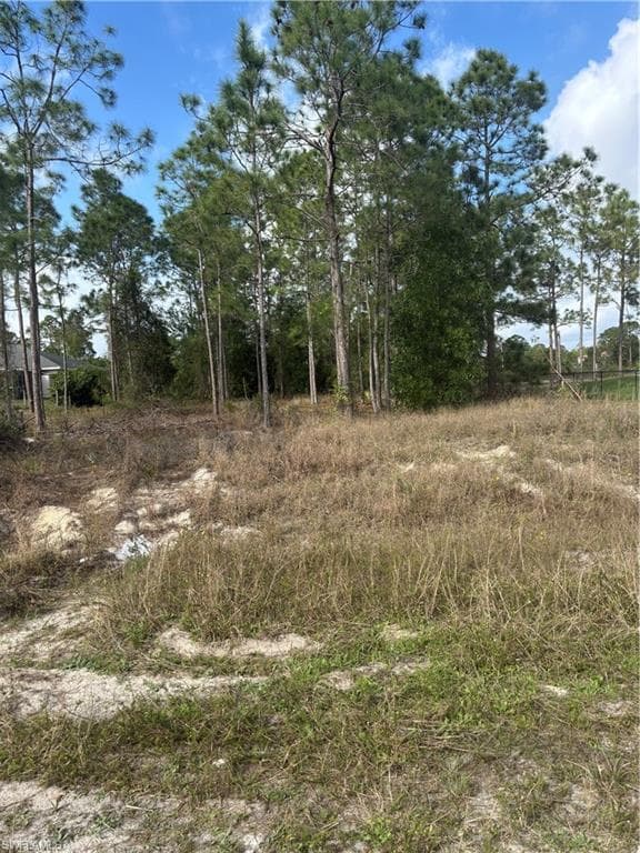 730 Troy AVE LEHIGH ACRES, FL 33974