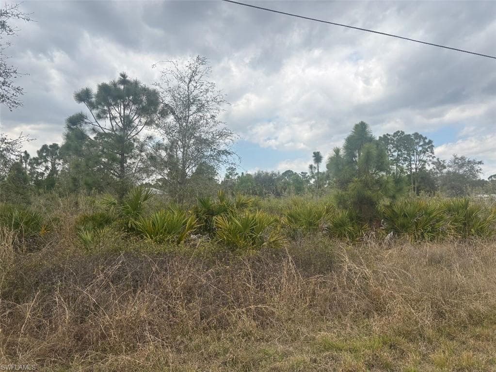 913 Maple AVE N LEHIGH ACRES, FL 33972