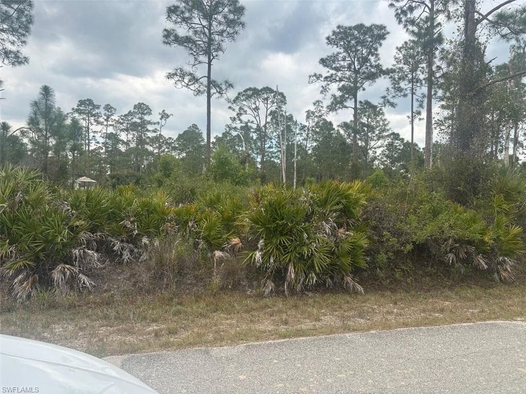 1103 Plumosa AVE LEHIGH ACRES, FL 33972