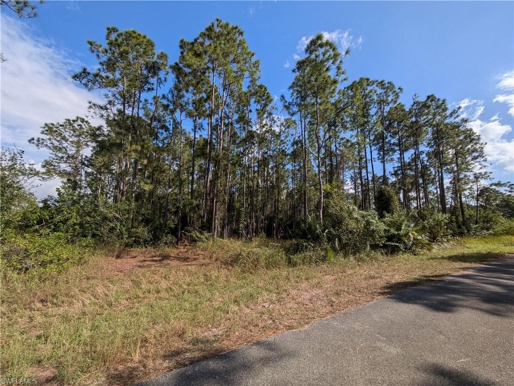 2120 Louis AVE ALVA, FL 33920