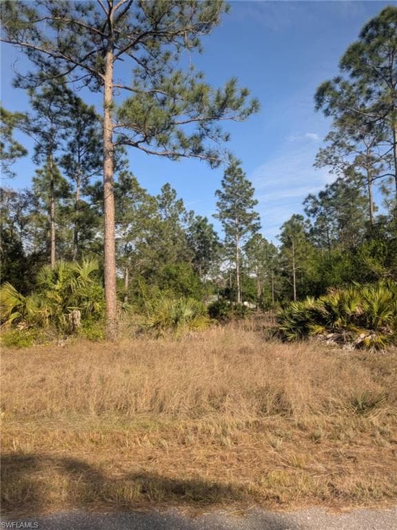 1412 Clayton AVE LEHIGH ACRES, FL 33972
