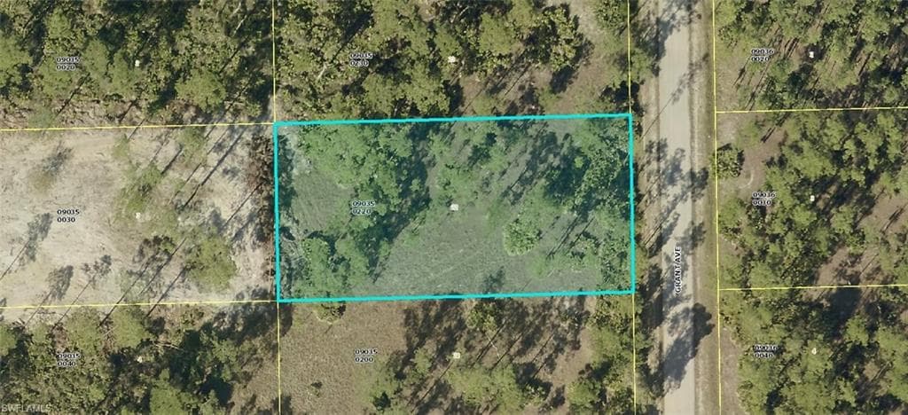 2219 Grant AVE ALVA, FL 33920