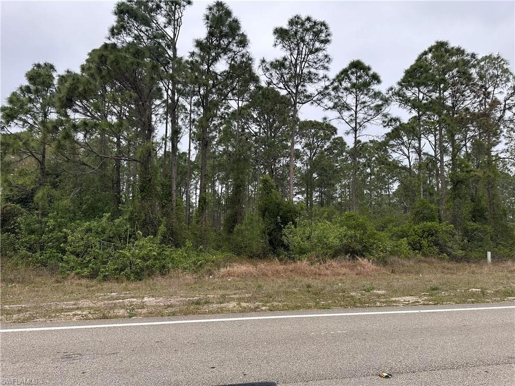 918 Homestead RD S LEHIGH ACRES, FL 33974